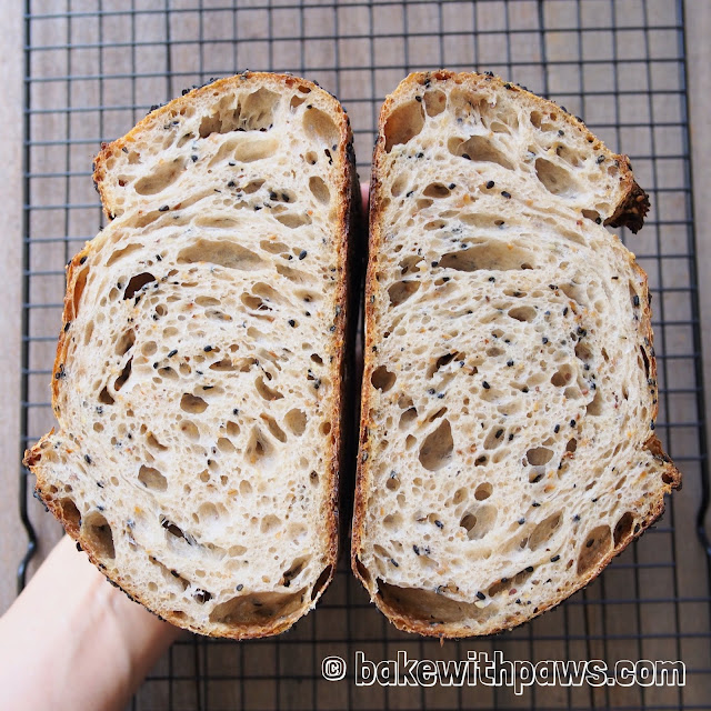 Sesame Open Crumb Sourdough Bread BAKE WITH PAWS