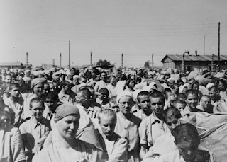Woman heads shaved in the holocaust