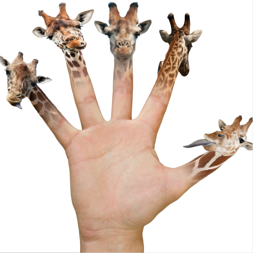 The Fridge Giraffe Hand Dillon