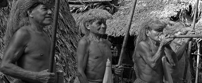 Suku Wari Amazon