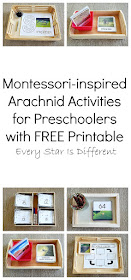 Montessori-inspired Arachnid Activities for Preschoolers with FREE Printable