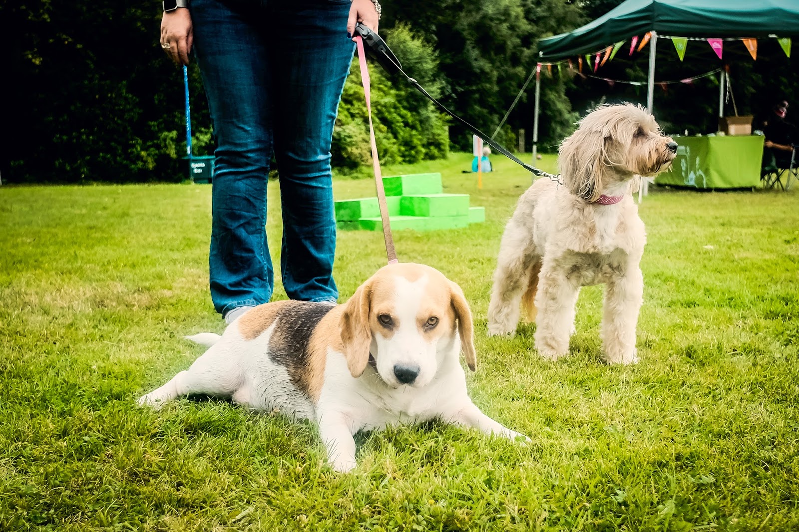 Best Camera For Bloggers Fuji X70 Mandy Charlton Photographer Writer Blogger