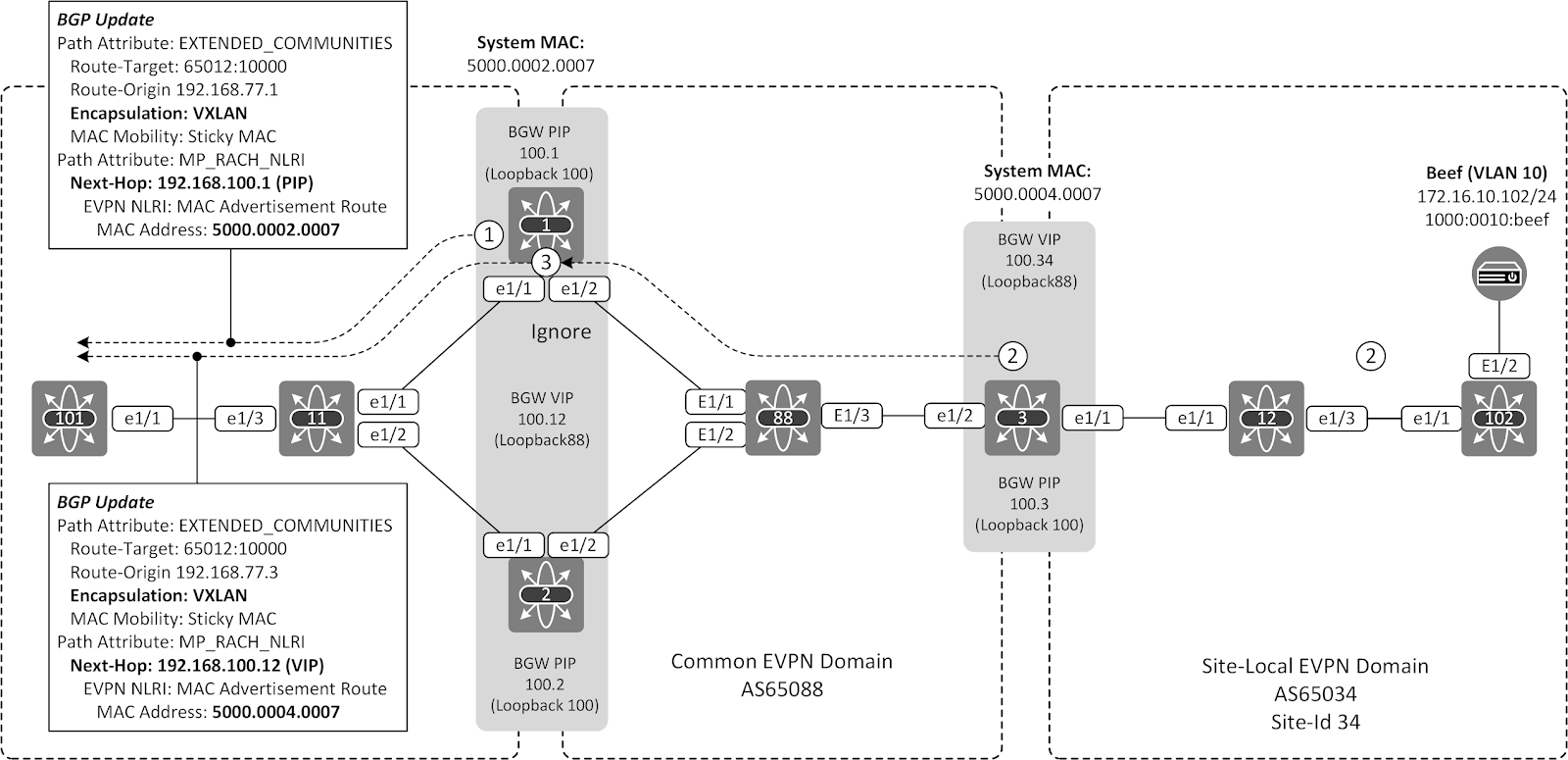 mac address learning process switch