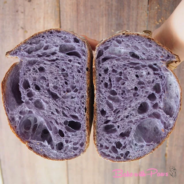 Butterfly Pea Flower Open Crumb Sourdough Bread