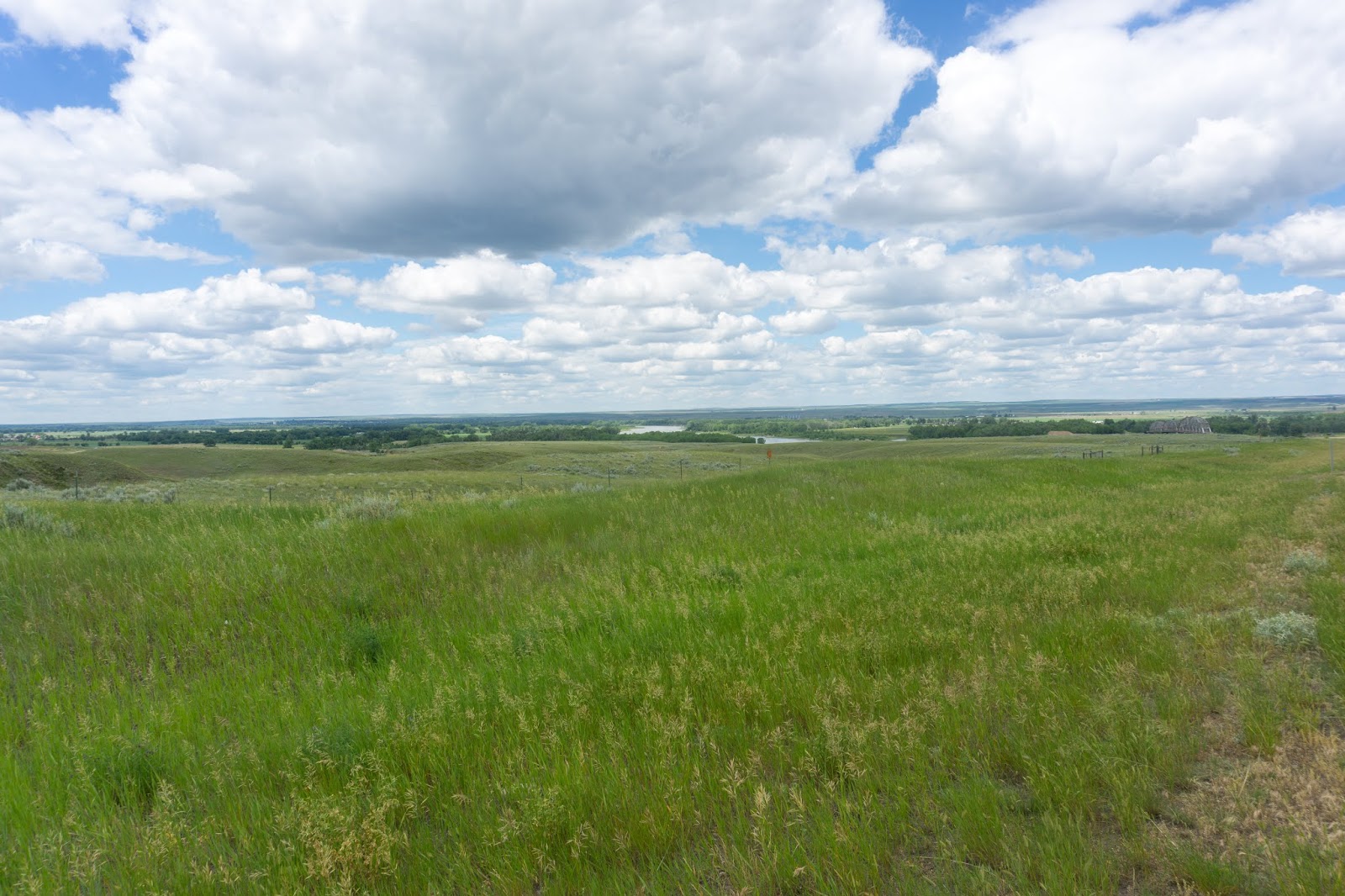 Boston to Seattle 2018 Day 50 Circle,MT to Wolf Point,MT