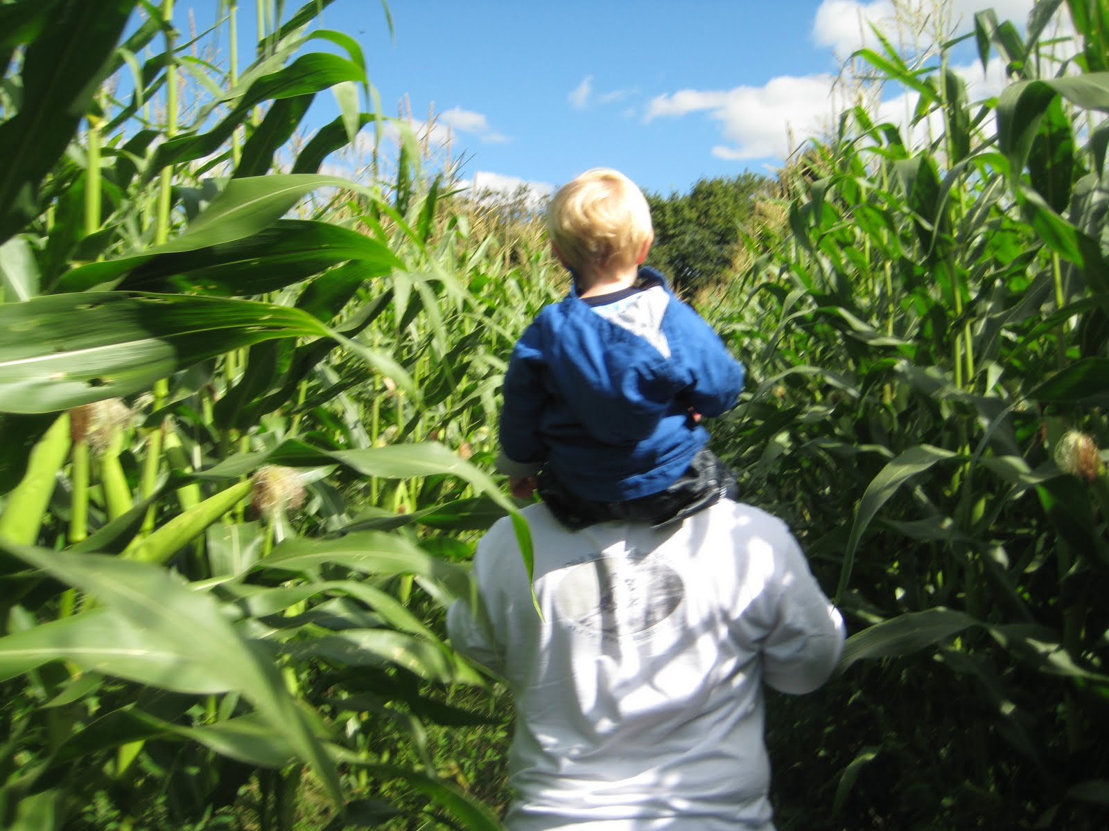 Exploring the North Shore with my Three Kids. Ingaldsby Farm, Boxford