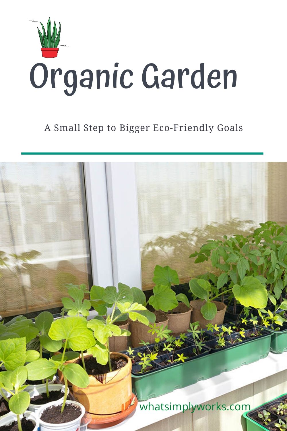 Organic Garden: A Small Step to Bigger Eco-Friendly Goals