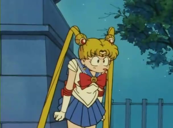 Ver Sailor Moon Sailor Moon - Capítulo 43