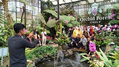 orchid forest cikole