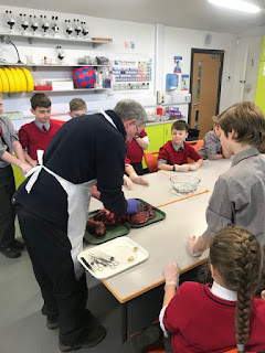 5A AND 5D DISSECT LUNGS, Copthill School