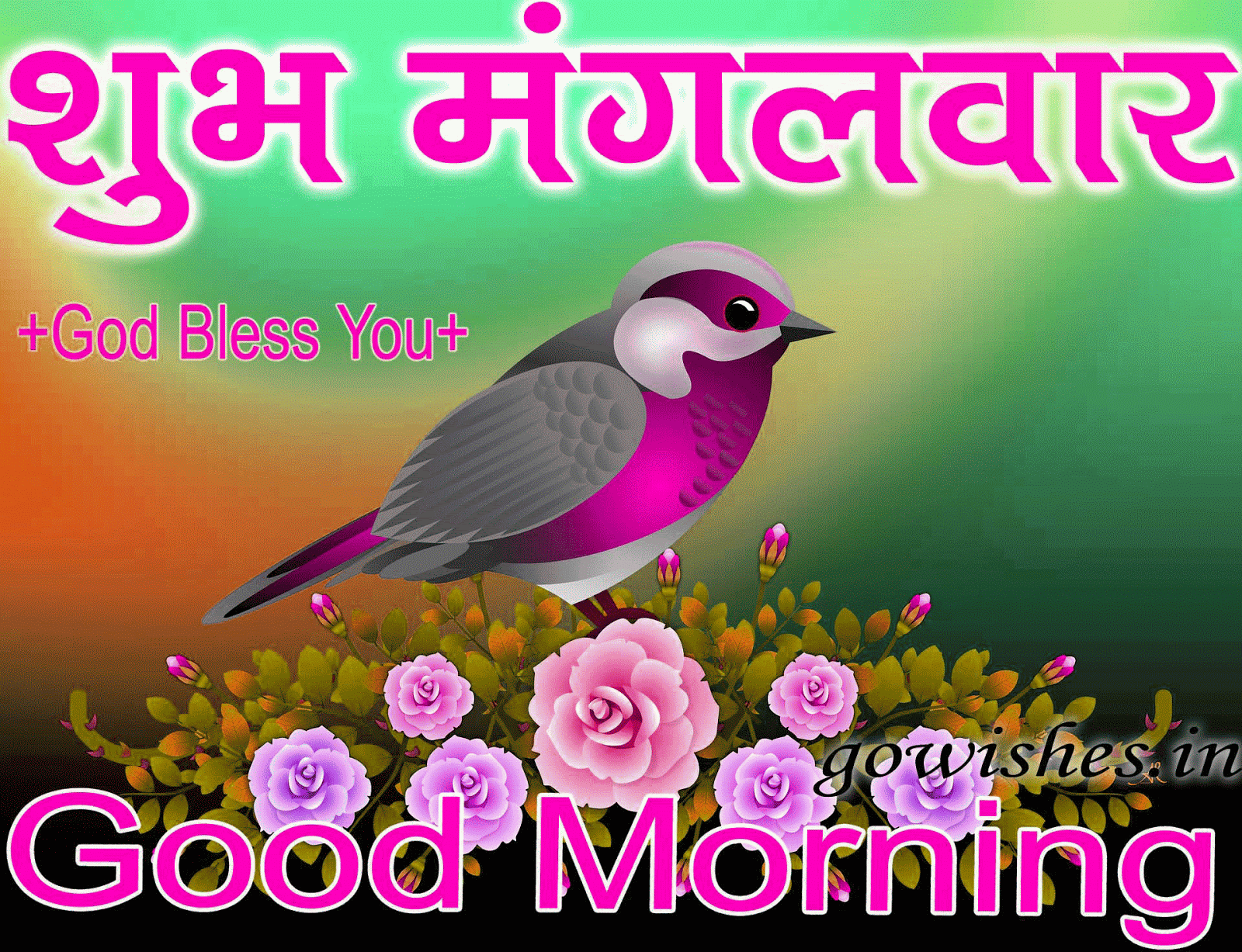 Tuesday Good Morning Gif Cartoon Animaltree jpg (1600x1227)