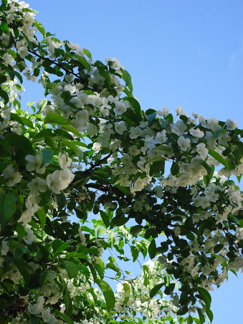 DSC01756.JPG