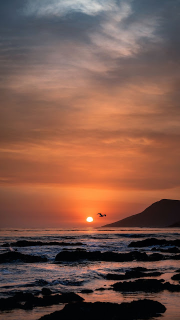 Wallpaper Sunset, Birds, Sea, Horizon, Rocks, Beach