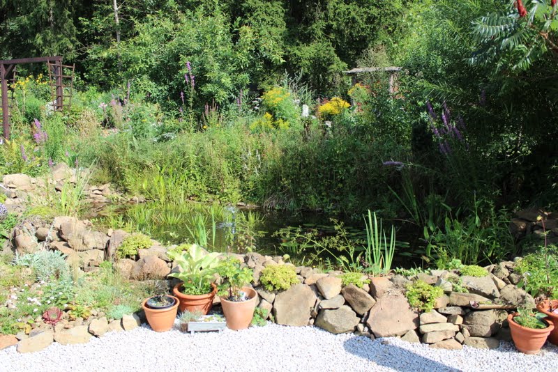 garten im august