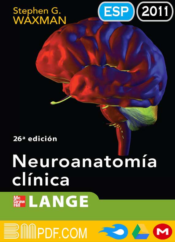 Waxman Neuroanatomía clínica 26va edición PDF, anatomía humana