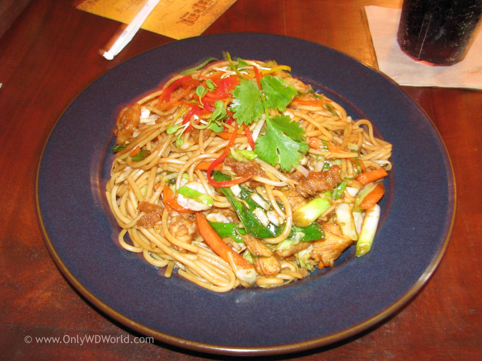 Disney World Dining Yak & Yeti Restaurant Disney World Blog