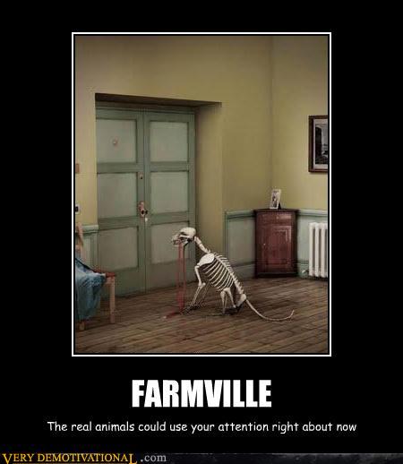 Picture Gallery: funny quotes dog pictures dog jokes cat ... Picture Gallery: funny quotes dog pictures dog jokes cat ...