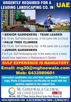 Gulf%2BJob%2BPaper%2B%252863%2529