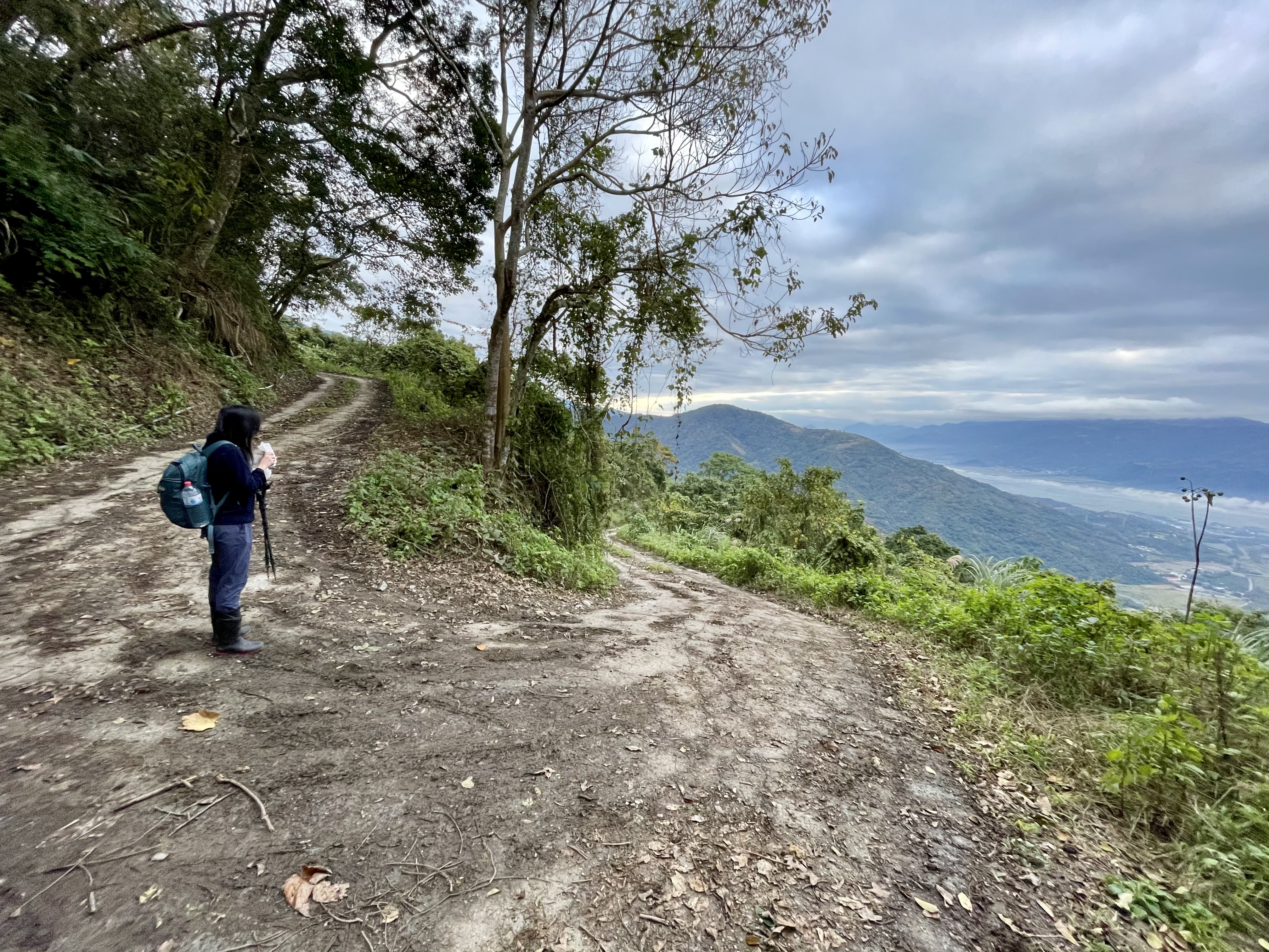 玉里山登山口前的產業道路