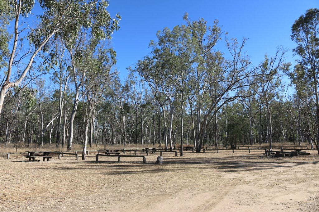 National Park Odyssey Lake Murphy Conservation Park, QLD.
