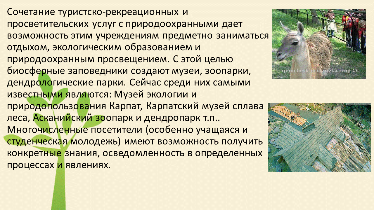 кавказский заповедник животные и растения. биосферный заповедник цели. цели и задачи создания заповедников. лапландский биосферный заповедник вид особо охраняемой территории. презентация на тему кавказский заповедник.