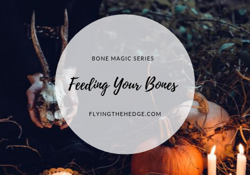 Bone Magic Series: Feeding Your Bones