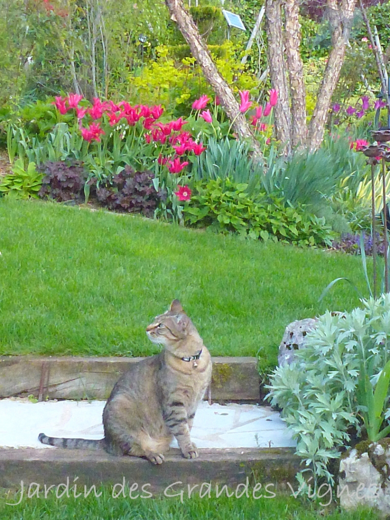 LE JARDIN DES GRANDES VIGNES: Promenade au jardin