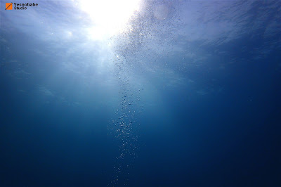 A light that looks like a heaven from beneath the ocean