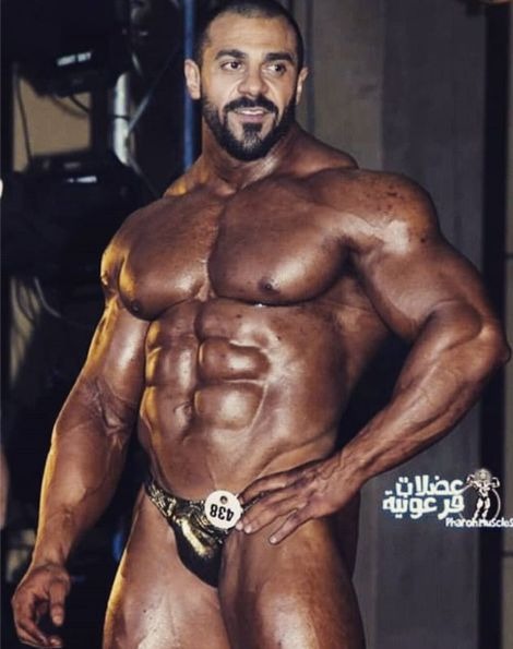 Andy Velcich Р±РѕРґРёР±РёР»РґРёРЅРі