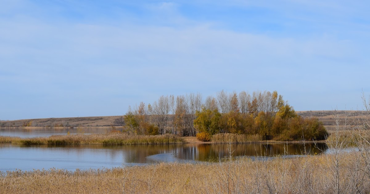Полдня 13. Ориентирование по часам после полудня. Полдня 13. Озеро золотово подмосковье. High noon picture.