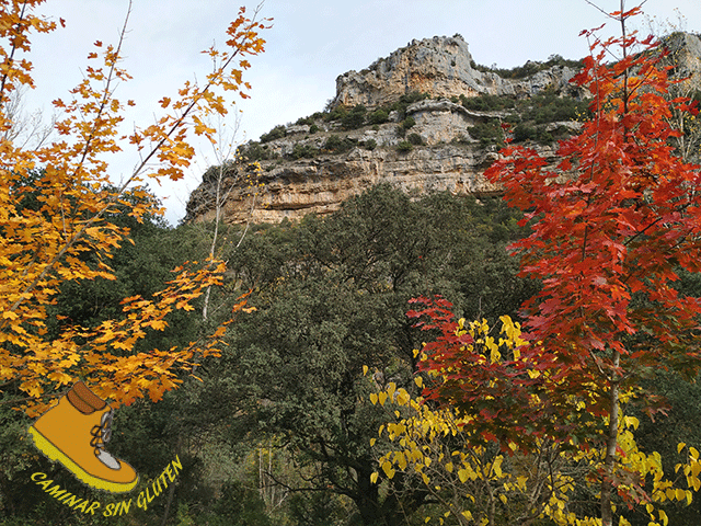 Colores otoñales en el cañon del Ebro