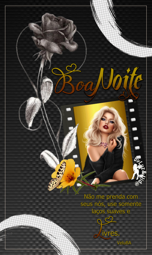 17NOVO-%2528MB%2529maryluz.gif