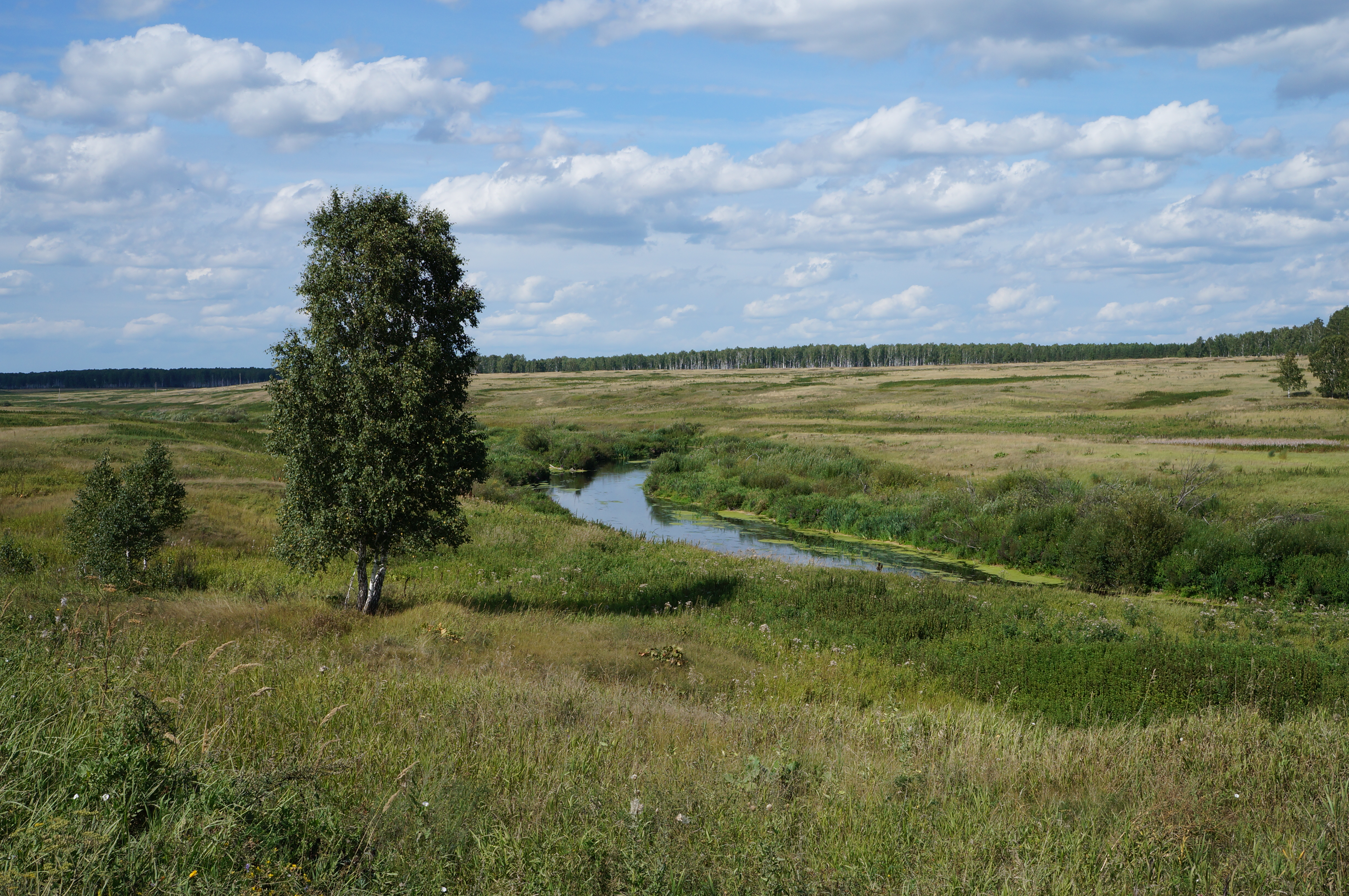 По реке тече