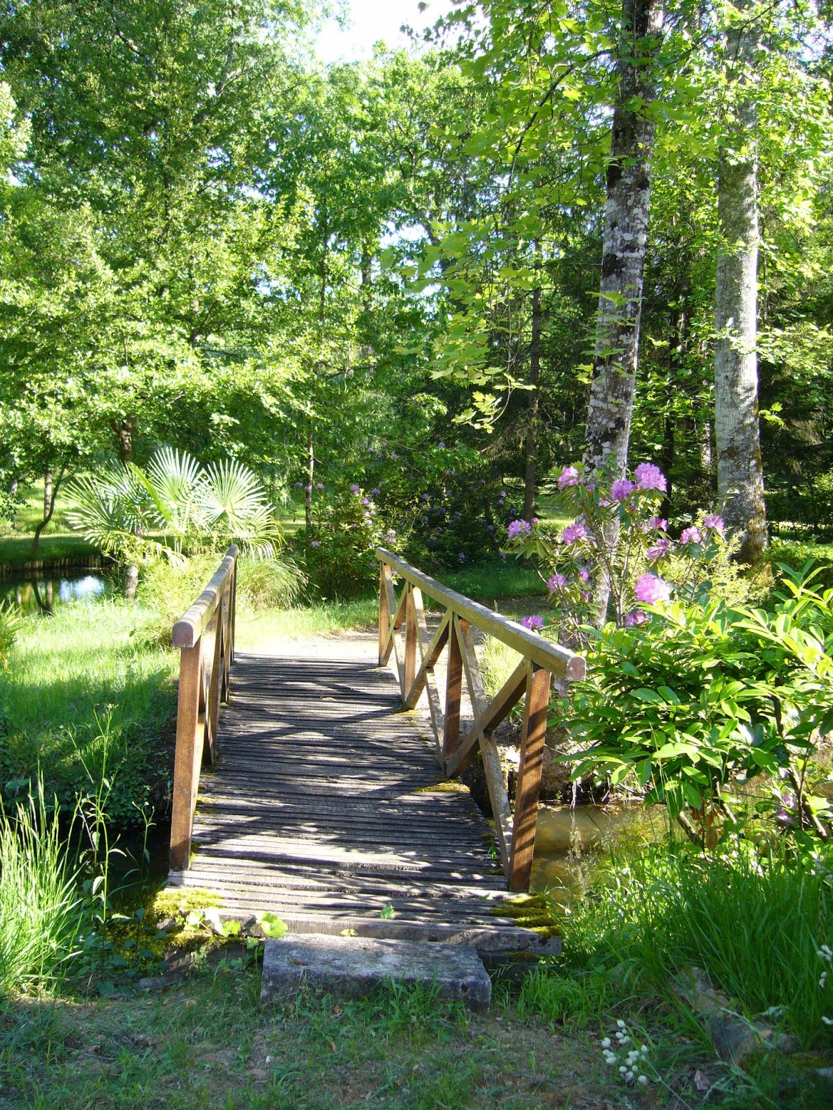Sainte Famille de Bordeaux Bicentenaire juin 2020