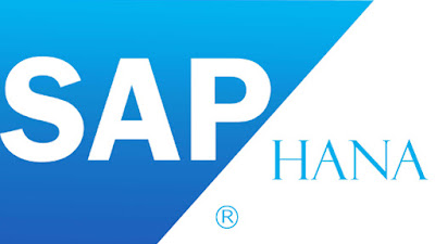 Develop Simple on HANA Express in AWS Cloud 9 Part 2 – The Backend App SAP HANA Study Materials, SAP HANA Learning, SAP HANA Guides, SAP HANA AWS Cloud 9