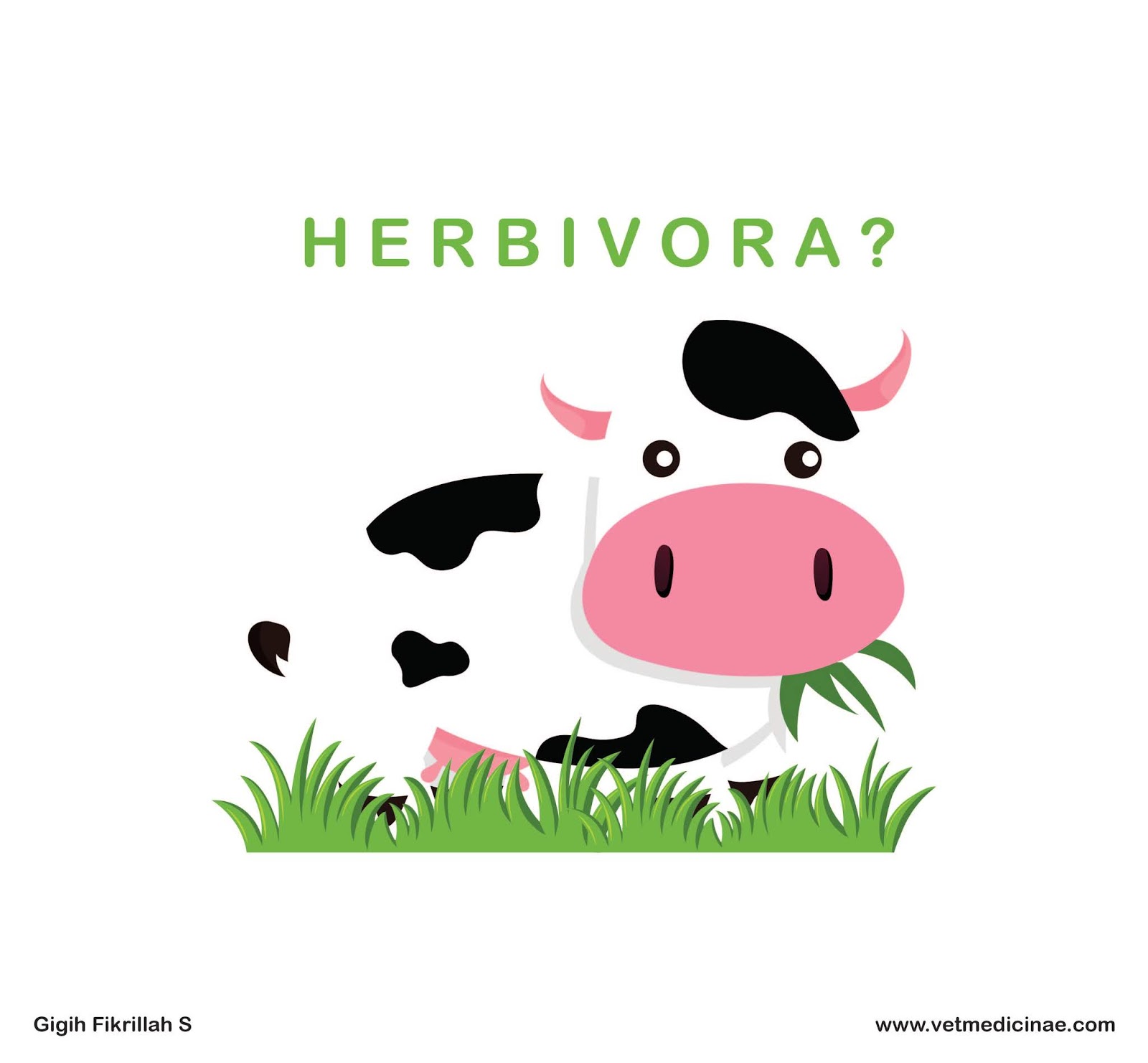 30 Contoh Hewan Pemakan Tumbuhan Herbivora Veterinarii Medicinae 30 Contoh Hewan Pemakan Tumbuhan Herbivora Veterinarii Medicinae