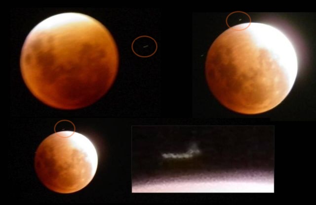 ‘Zeroid’ a biological entity photographed near the Moon Zeroids%2Bbiological%2Bentities%2Bspace%2B%25281%2529