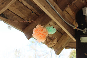 Amusement park kiss pictures, photos, and images for facebook, tumblr the Vibrant Visions blog: Valentines Party at the Park