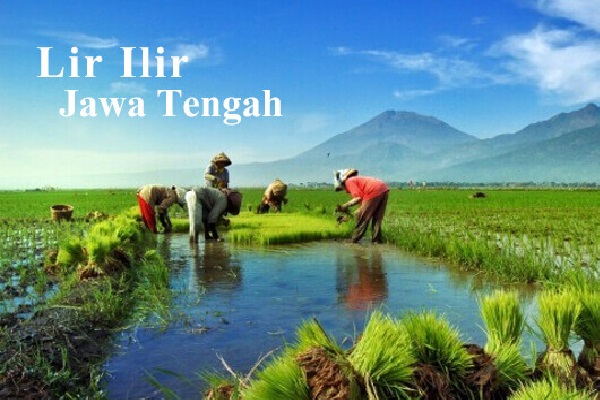 lirik lagu lir ilir dan artinya lirik lagu lir ilir dan artinya