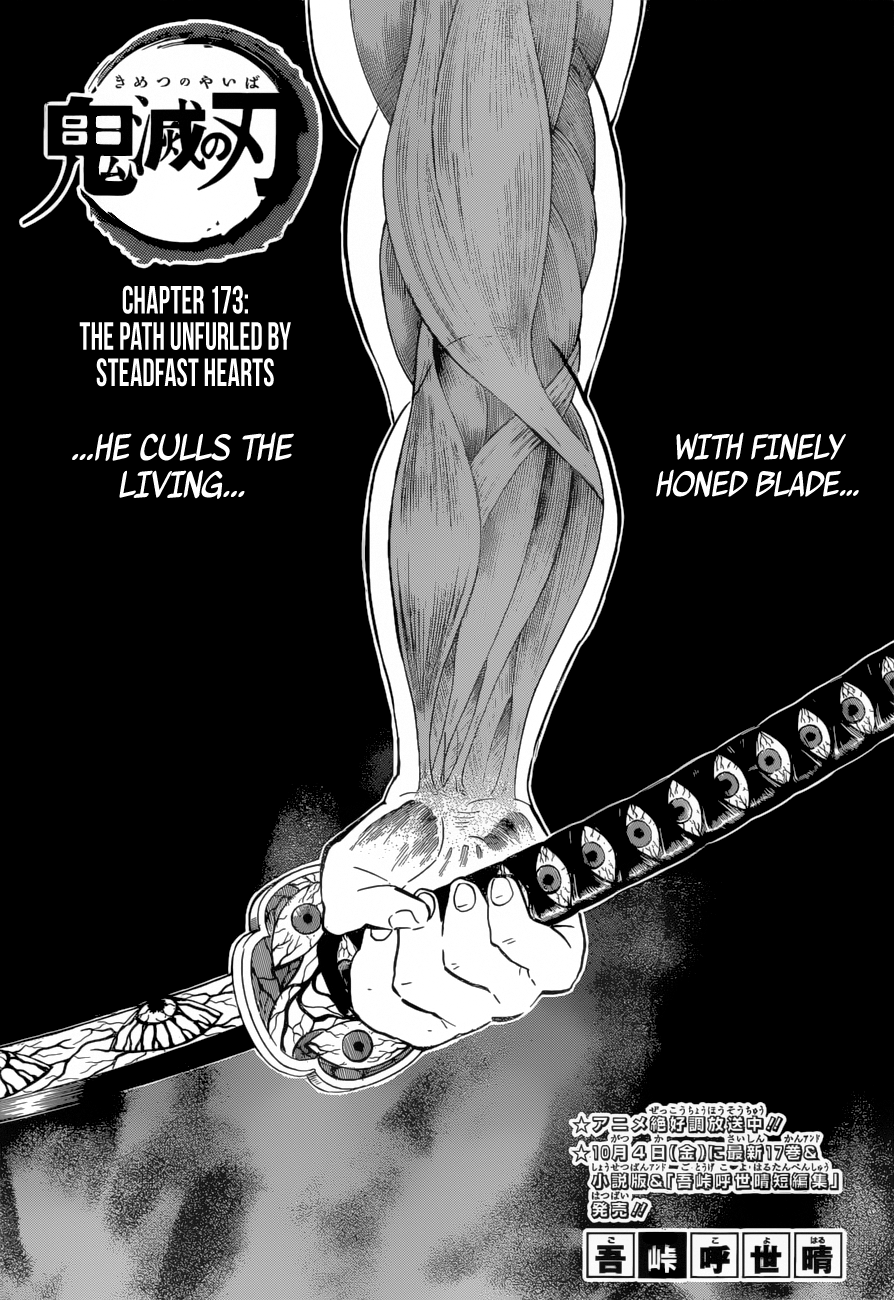 Demon Slayer Kimetsu No Yaiba Chapter 172 Demon Slayer Kimetsu No Yaiba Manga
