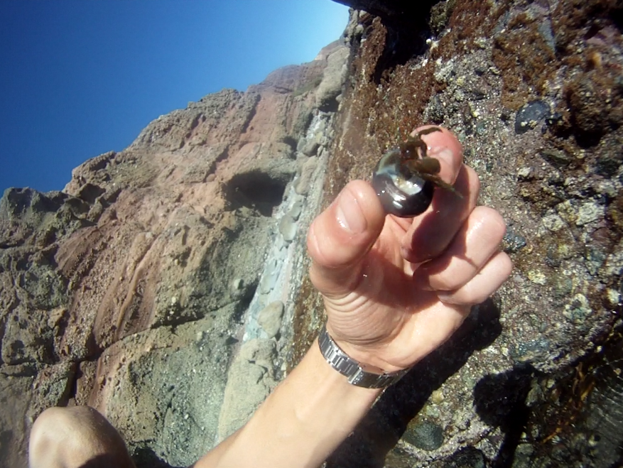 Nick Inserra Beach Project Dana Point October/tidepools