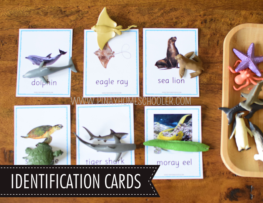 Ocean Theme Toob Printable Learning Materials The Pinay Homeschooler