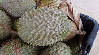 manfaat-buah-durian-bagi-kesehatan,www.healthnote25.com