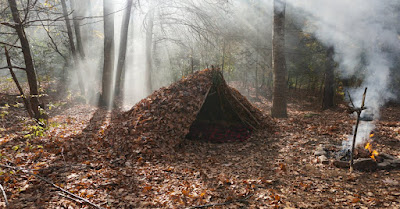 The 7 Most Important Survival Skills You Need To Know. Debris Hut