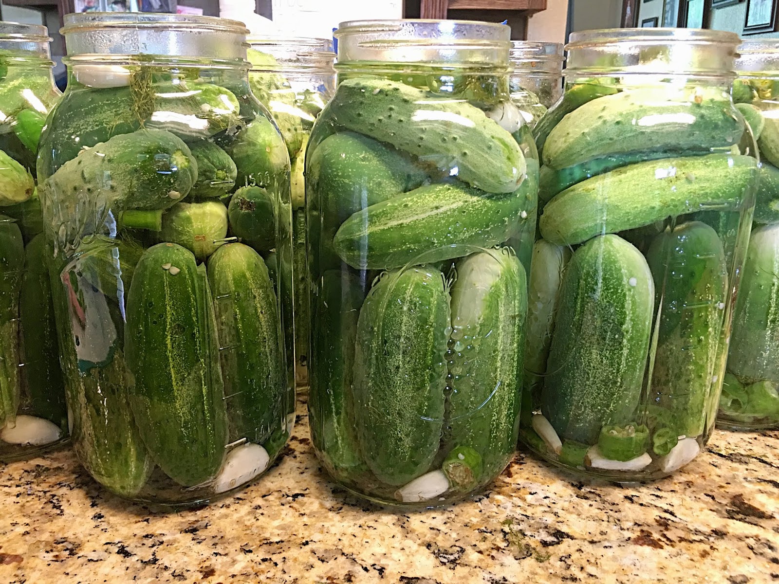 Country Mama To Many Easy Kosher Dill Pickles