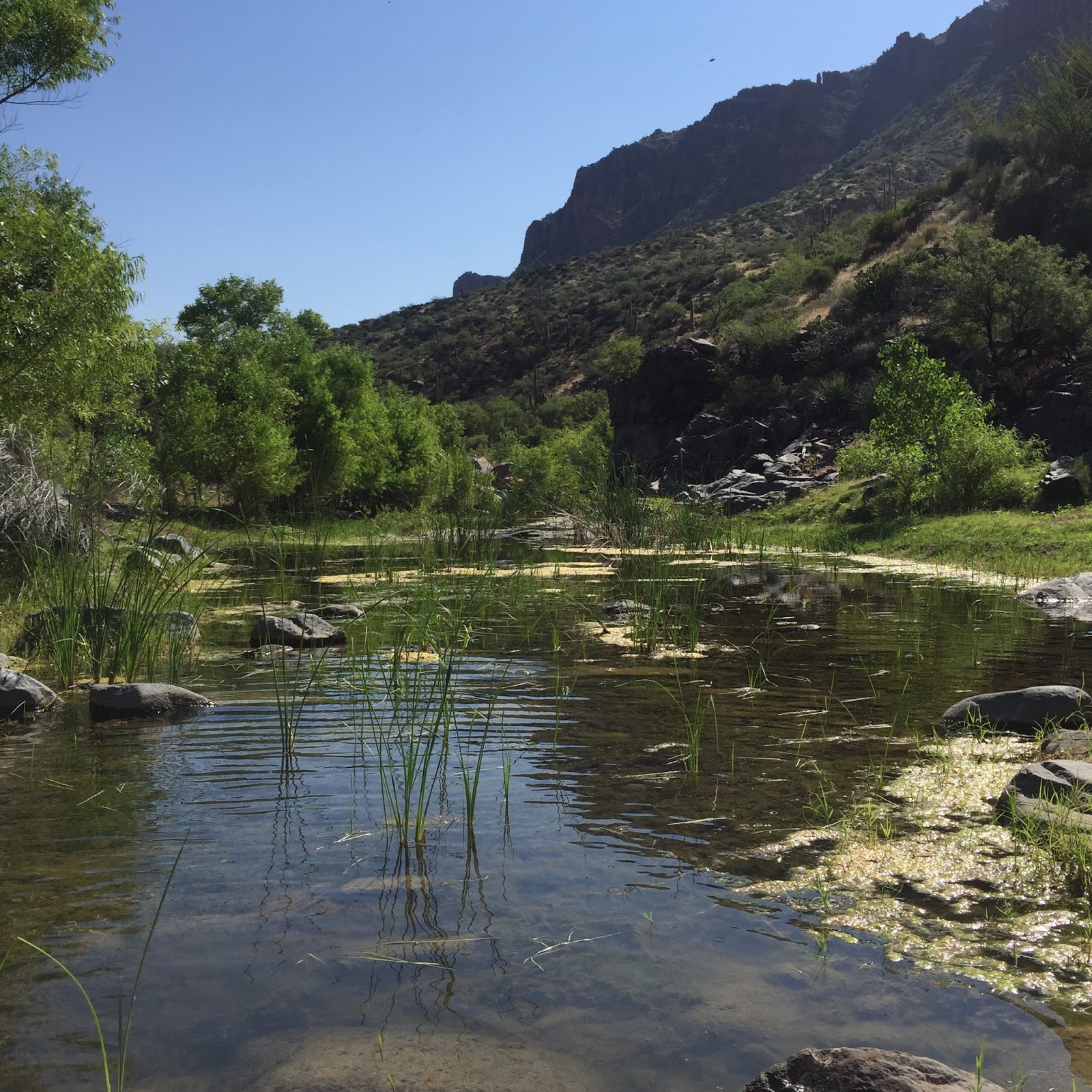 50 Hikes for 2015 Hike 31 Salome Creek "The Jug" Salome