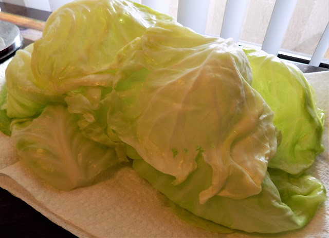 a picture of fresh cabbage leaves draining on a plate