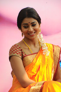 Shriya Saran Stills