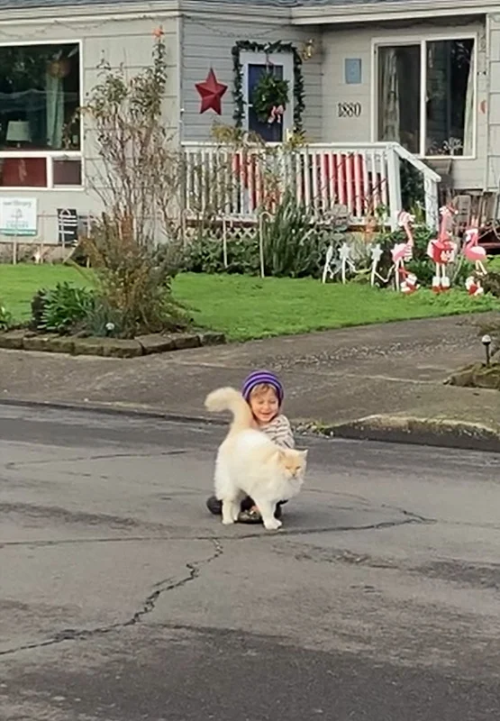 Boy has special relationship with neighbor's cat in suburbia