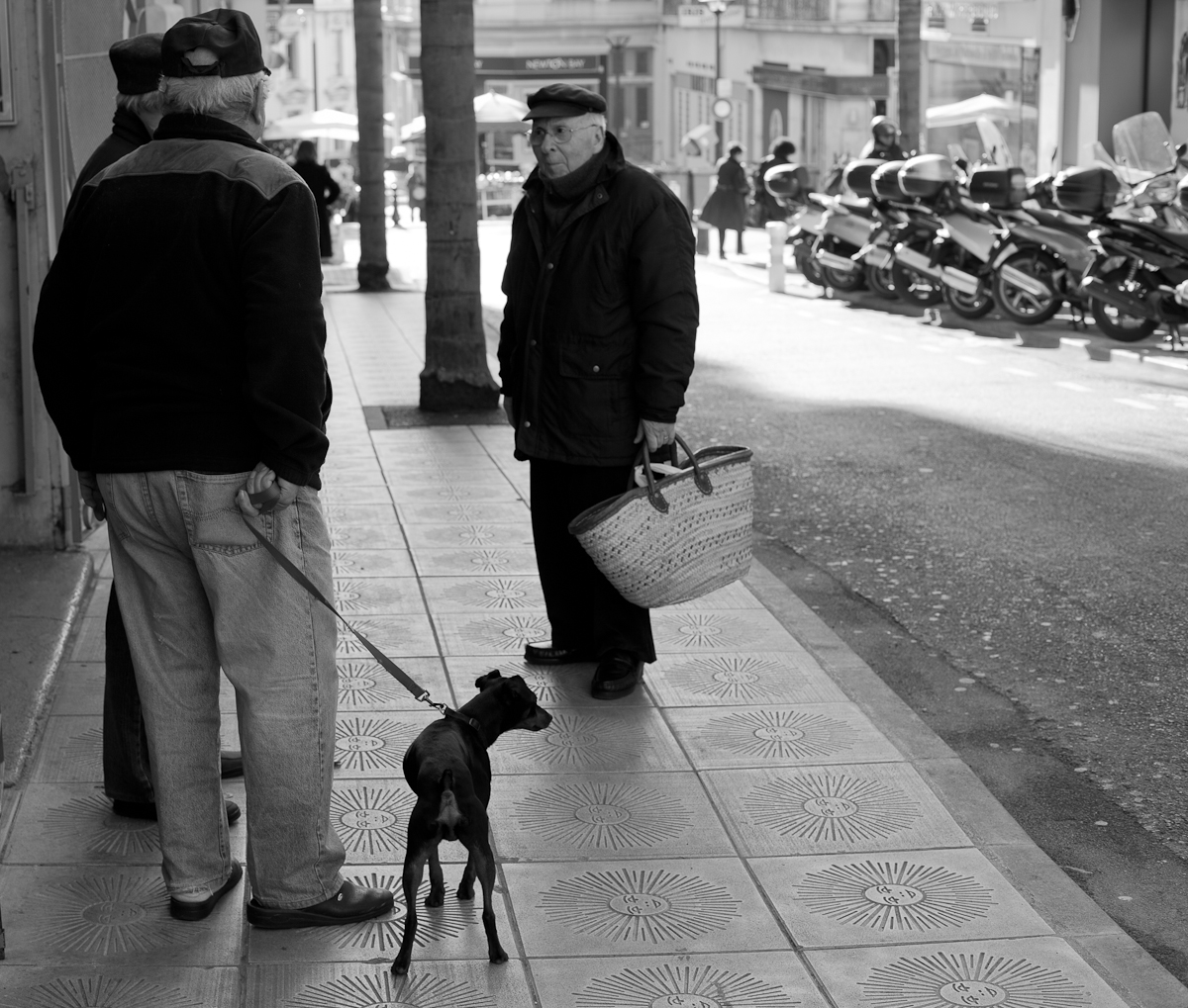 Monte Carlo Weekly Photo: Three Men and a Dog ...